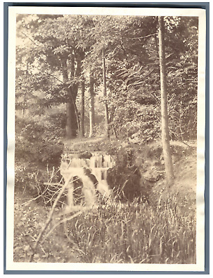 France, Bois de Vincennes Vintage albumen print  Tirage albuminé  13x17