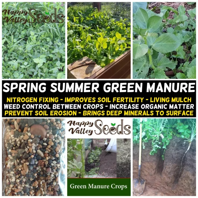 SPRING SUMMER GREEN MANURE MIX 100g-4kg Seeds HEIRLOOM VEGETABLE HERBAL GARDEN