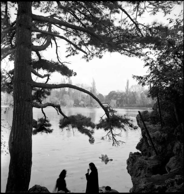 Waterfront Landscape Two Women Silhouette - Antique Photo Negative Year. 1950