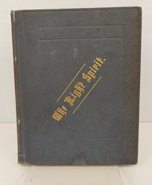 The Right Spirit Lizzie D Cottier Buffalo Insane Asylum Patient 1885 1st RARE