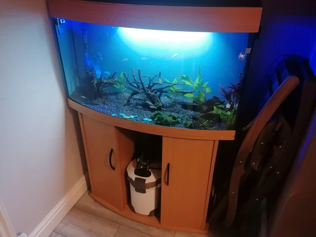 Jewel deals fish tank
