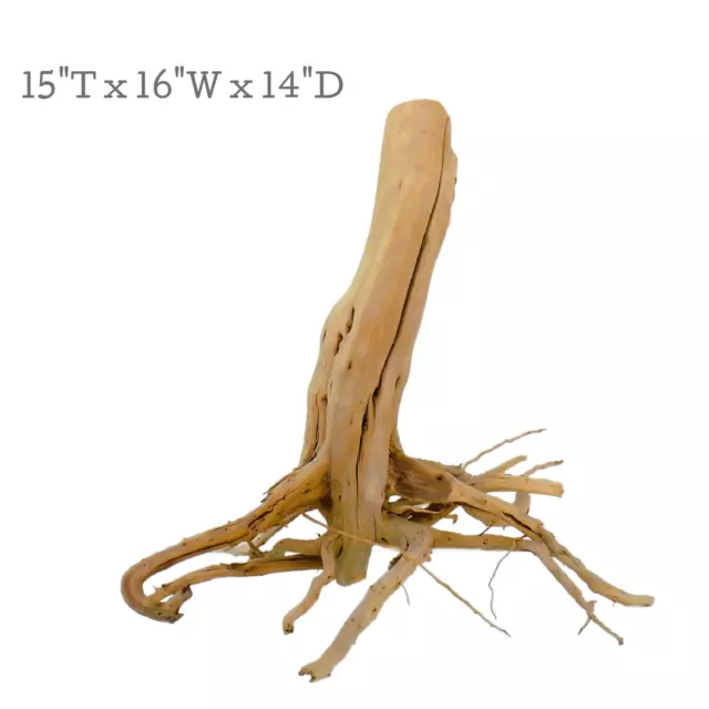 Manzanita Driftwood Stump, Aquarium or Reptile Decor from ManzanitaDirect 1023-1