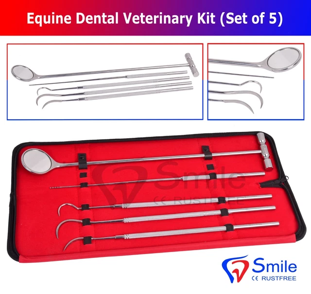 Miroir Vétérinaire Forme D - Inox - Examen Dentaire équin 18cm