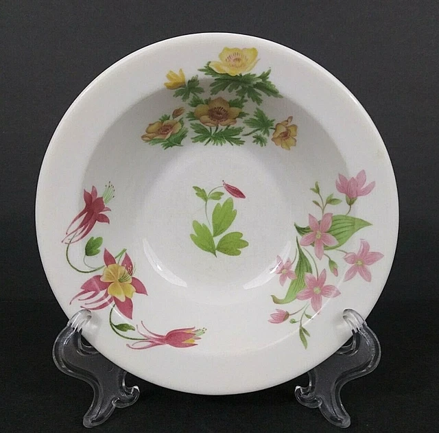SYRACUSE Great Northern Railroad Mountains & Flowers Pattern Cereal Bowl