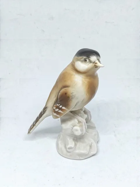 Vintage Dresden  Porcelain Bone China bird figurine Sculpture