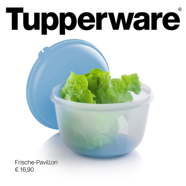 TUPPERWARE FRISCHE PAVILLION 2,0L in Blau mit Gittereinsatz NEU EUR 24