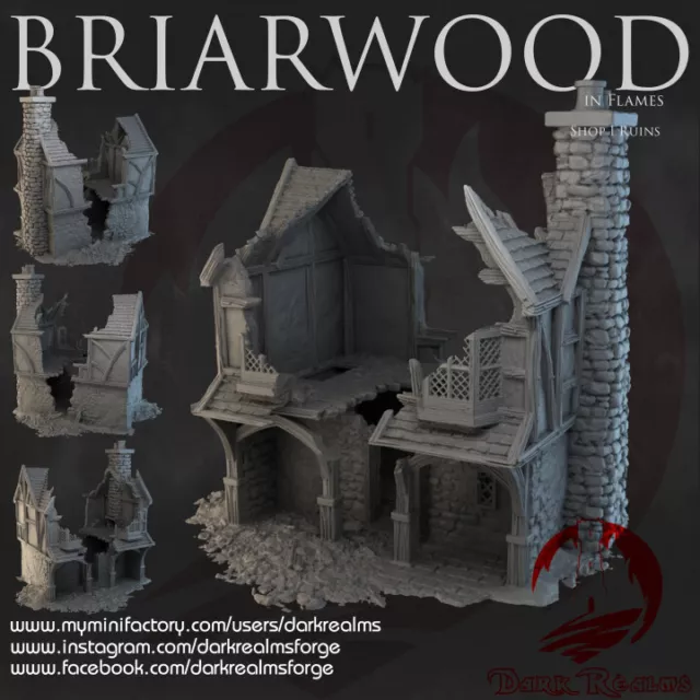 Briarwood (Bree) Shop Ruine 1  Herr der Ringe Tabletop Warhammer Fantasy
