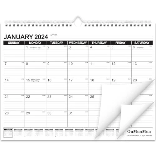 WALL CALENDAR 20242025 Monthly from January 2025 to June 2025,... 17