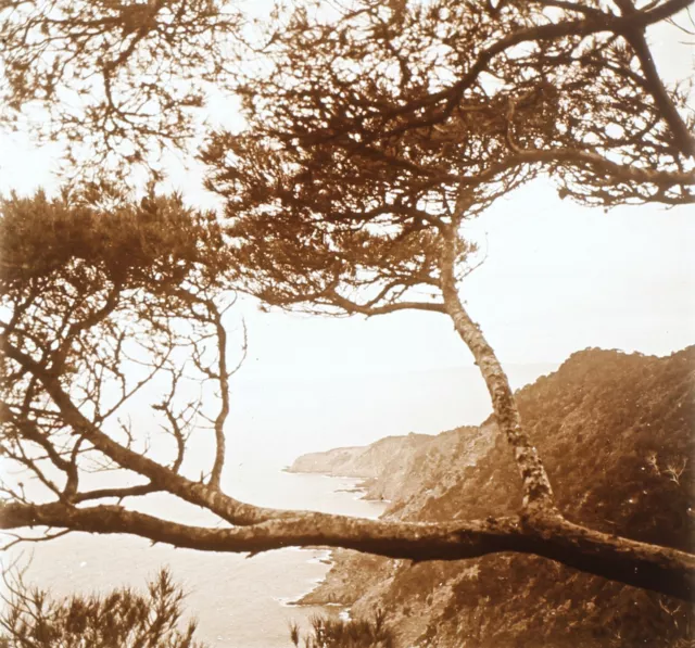 FRANCE Port-Cros Île à Hyères c1930 Photo Plaque de verre Vintage V36L5n2
