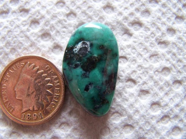 NATURAL Orvil Jack Turquoise Cab 19 carat Cabochon Nevada Rare Faustite