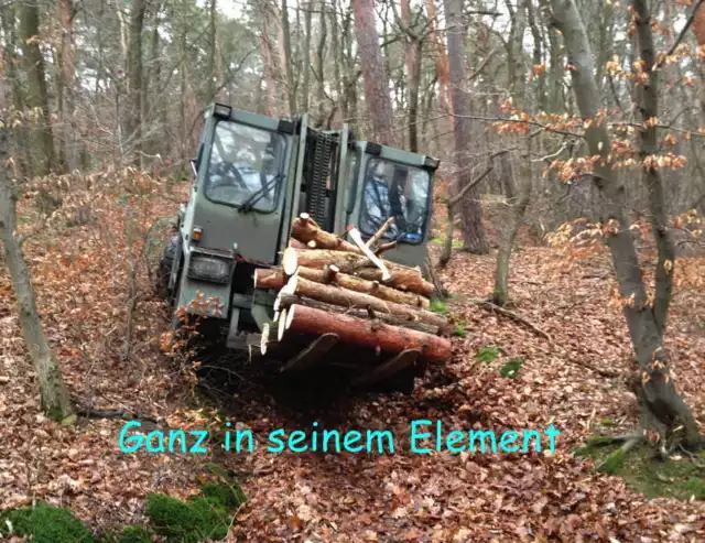 Steinbock Geländestapler 2,5 Y4 Allrad Stapler FUG Gabelstapler Deutz Motor Luft 2