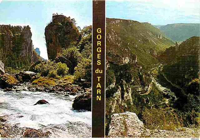 66 - Les Angles - Multivues - Vaches - Blasons - CPM - Voir Scans Recto