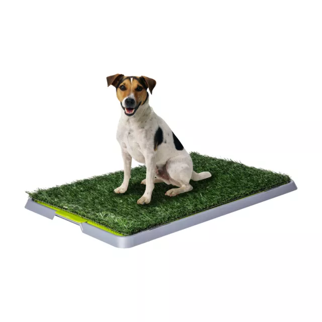 LETTIERA MAXI ASSORBENTE per cucciolo cane con erba sintetica per casa  giardino EUR 23,90 - PicClick IT