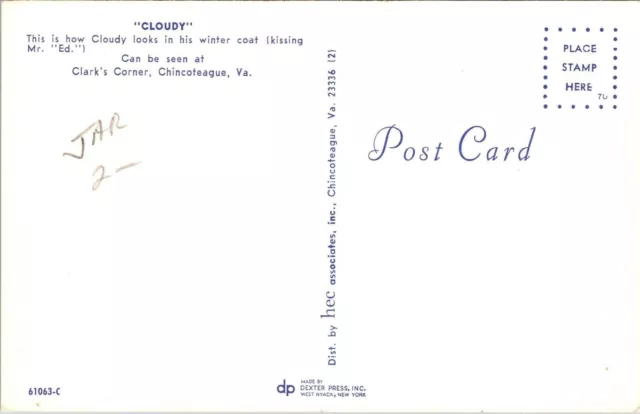 Cloudy Clarks Corner Chincoteague VA Virginia Postcard UNP VTG Dexter Unused 2