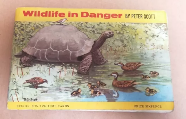 BOOK - Vintage Wildlife In Danger Brooke Bond Picture Cards Book *Incomplete*