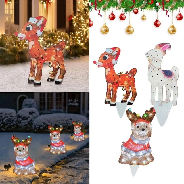 Garden light shop up ornaments