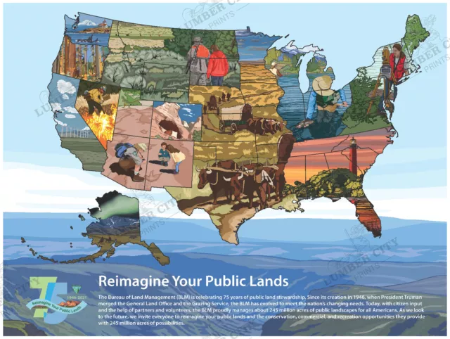 Reimagine Public Lands Map 24x18 USA National Conservation Land Poster Print