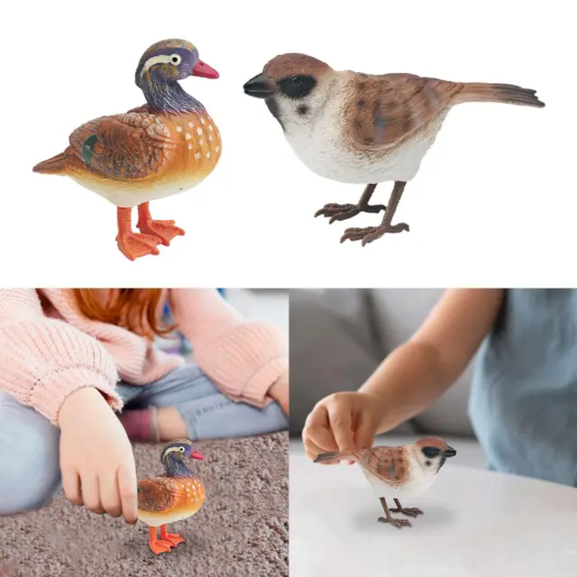 Figurines d'oiseaux réalistes, décoration de maison pour enfants, modèle