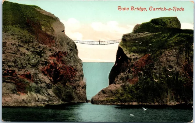 Postcard Rope Bridge Carrick a Rede County Antrim Northern Ireland