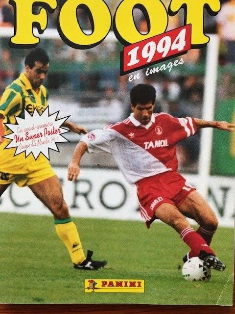 LOT IMAGES PANINI foot 91 (Images de récupération, bien lire l'annonce