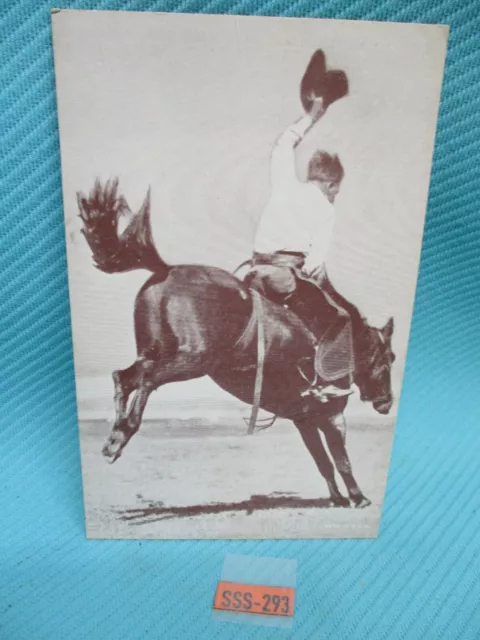 Vintage PostCard  Aged Condition Cowboy Riding Wild Horse SSS-293