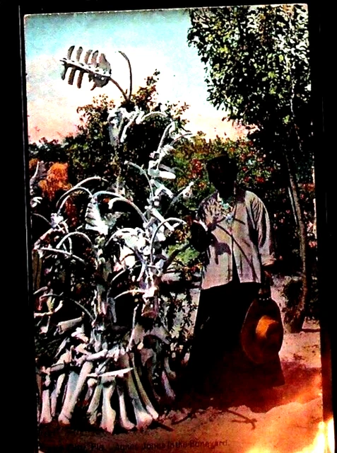 vintage black americana post card
