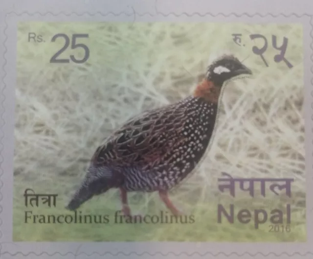 Nepal 2016 Francolinus Francolinus Birds Bird Fauna Stamp MNH