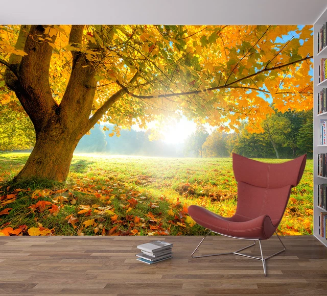 Hojas de árbol plantas soleado otoño foto papel tapiz mural hogar póster decoración