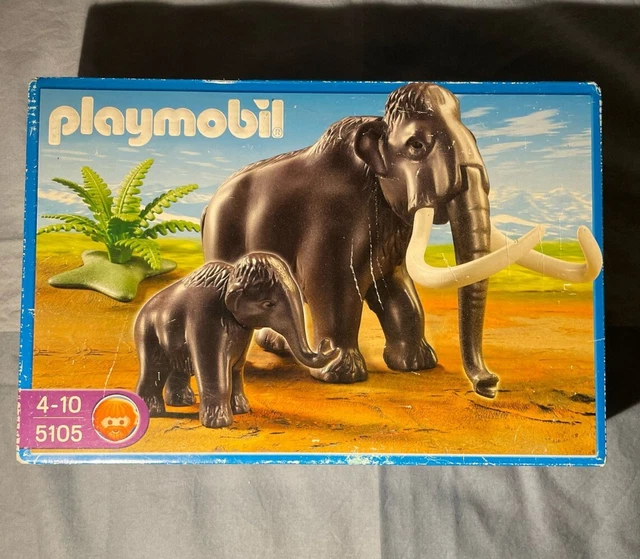 Figurines Playmobil Série 1 Âge De Pierre - Lot Complet D'occasion En Bon état, Compatible Sets 5100, 5105