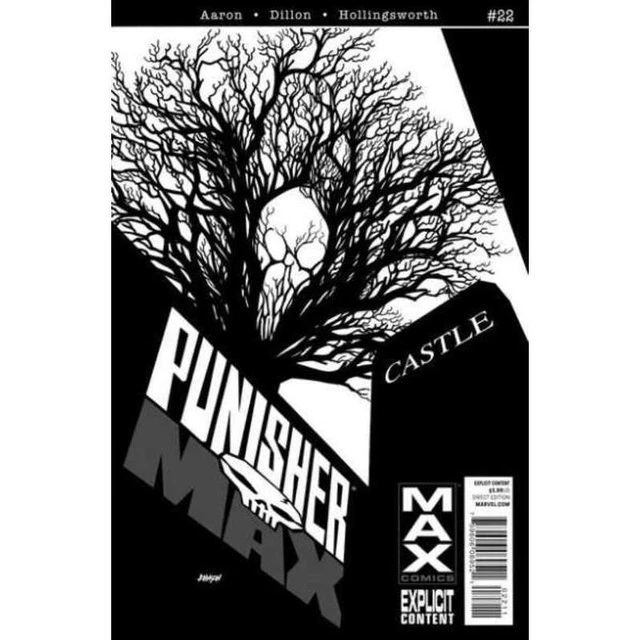 Punishermax #22 in Near Mint + condition. Marvel comics [k*