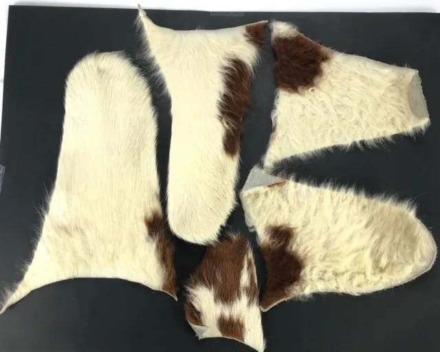 Animal Hide Suede Fur Pelt Lot White Brown Western Craft Supply Taxidermy