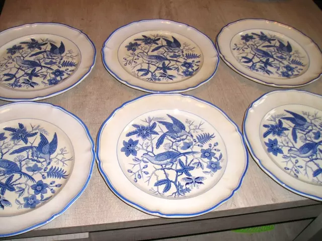 VILLEROY et BOCH - 6  ASSIETTES PLATES - modèle EDEN - FAIENCE- N°1