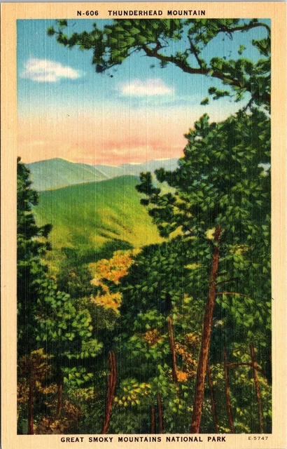 Thunderhead Mountain Great Smoky Mountains National Park TN Unposted Postcard