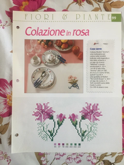 DMC Mini Book Punto Croce Speciale Piante – Libretto A6 Da 40 Pagine Con Schemi Di Piante Grasse, Fiori E Terrari