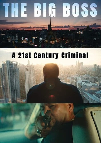 The Big Boss: A 21st Century Criminal [New DVD]