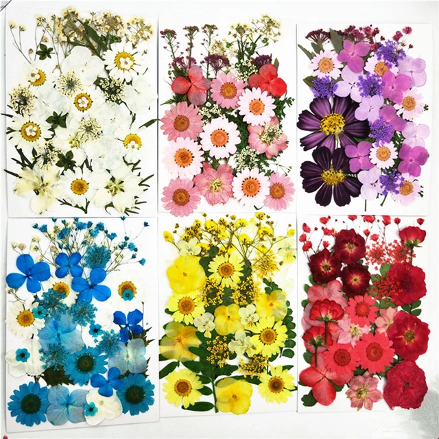 Vela artesanal de aromaterapia con flores secas prensadas plantas naturales flores secas reales