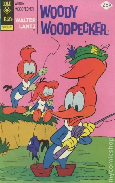 Woody Woodpecker #145 VG 1975 Dell/Gold Key Stock Image Low Grade