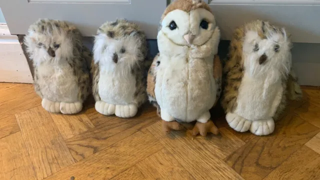 Owl Babies Story Sack Teacher Resource EYFS KS1 Childminding Mummy Owl Babies