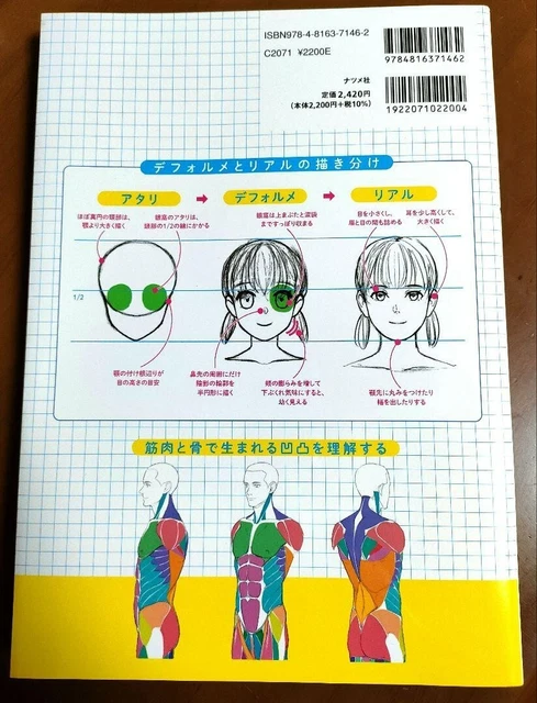 HOW TO DRAW Body & Anatomy Encyclopedia Art Guide Book Illustration ...