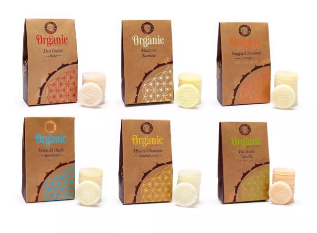 Collection of 6 Scented Wax Melts All Natural Soy Wax
