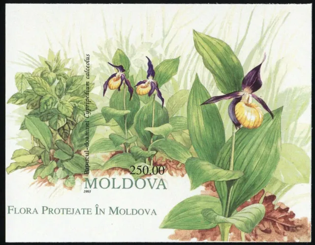 1993, Moldawien, Bl. 4 U Probe, ** - 2882331