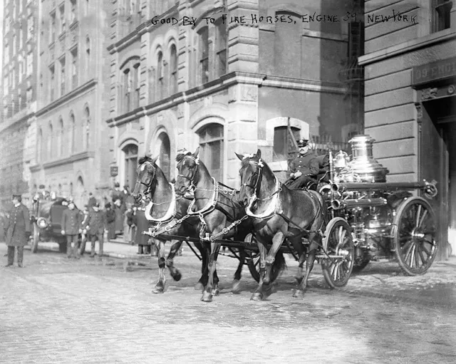 CLASSIC FIREFIGHTER HORSE DRAWN FIRE ENGINE NYC 8x10 SILVER HALIDE PHOTO PRINT