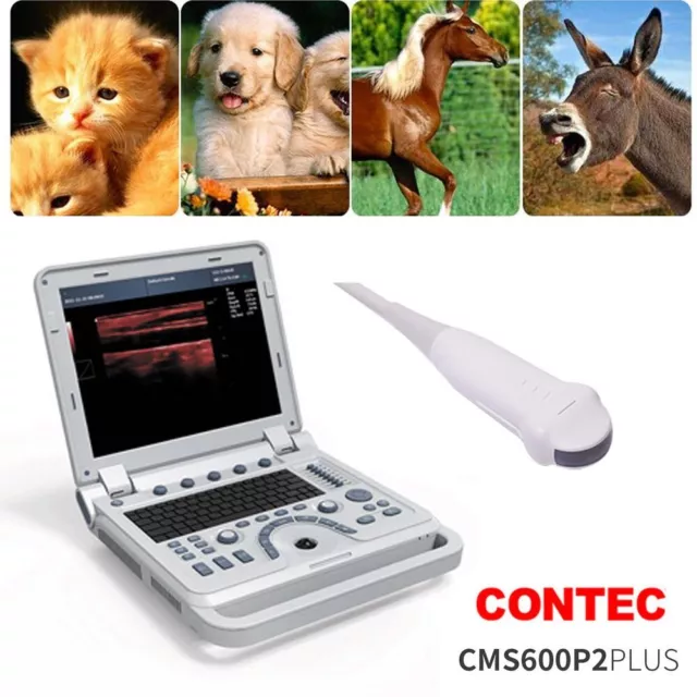 VET Pseudo Color Doppler Veterinary Ultrasound Scanner Machine,micro convex,dog