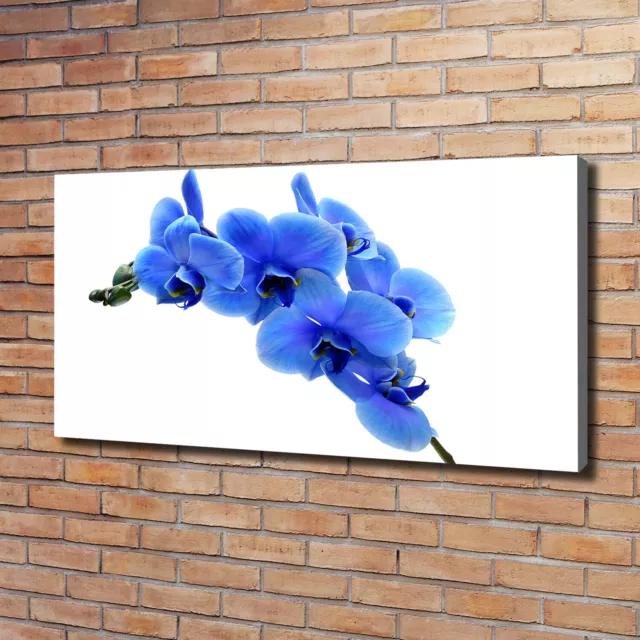 Cuadros Modernos Sobre Lienzo Para el Salón 120x60 Orquídea azul