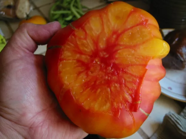 Tomato Old German 50 Finest Seeds