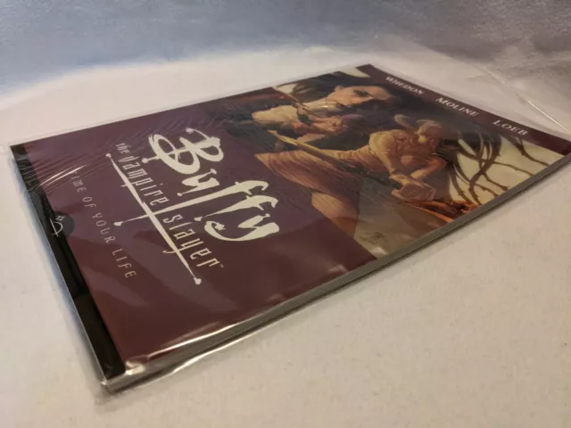 Buffy the Vampire Slayer Staffel 8 Band 4: Zeit deines Lebens BTVS 2
