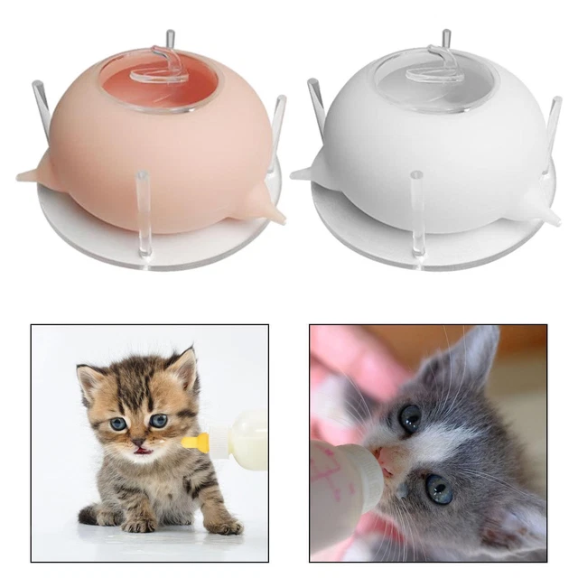 Puppy Bowl Rabbit 3 Nipples Small Animals Doggie Dogs Pet