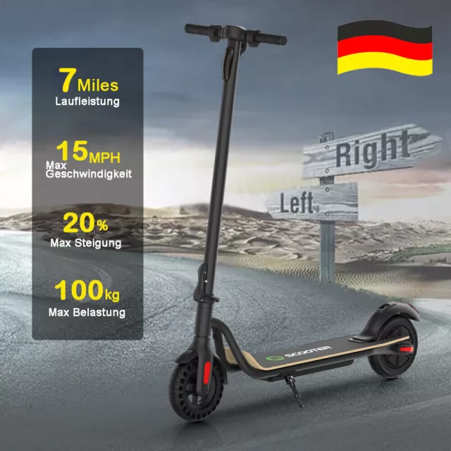 Elektroroller falten 8,0'' E-Scooter mit 250 Watt 25 km/h 5,0Ah Elektro Scooter