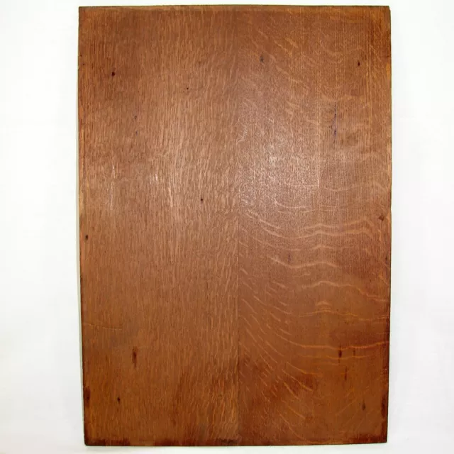 Antique Carved Oak 21" Panel, Figural Plaque, Furniture or Architectural Salvage 9