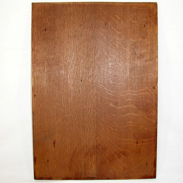 Antique Carved Oak 21" Panel, Figural Plaque, Furniture or Architectural Salvage 9